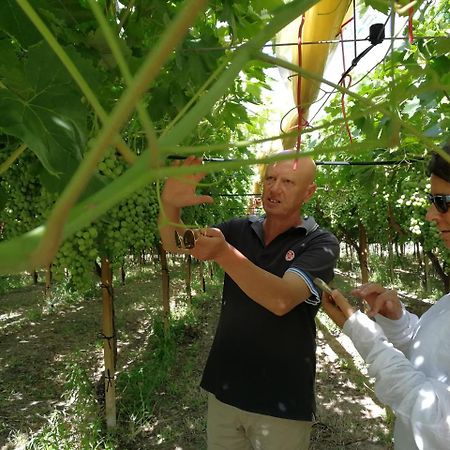 Masseria Marico 卡斯泰拉内塔 外观 照片
