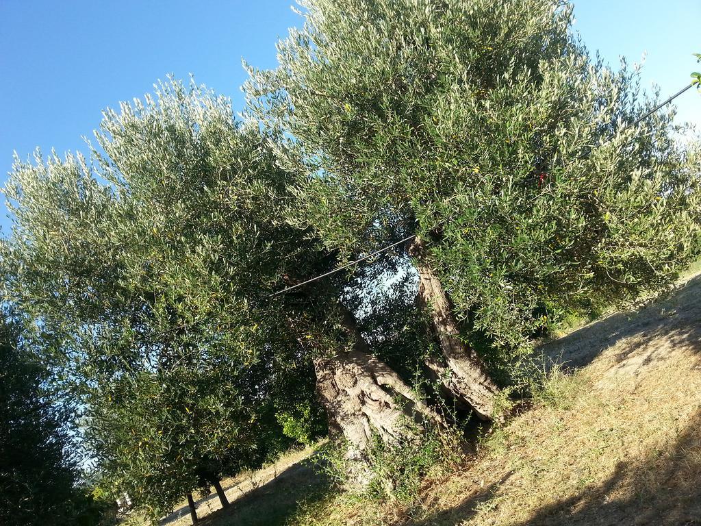 Masseria Marico 卡斯泰拉内塔 外观 照片