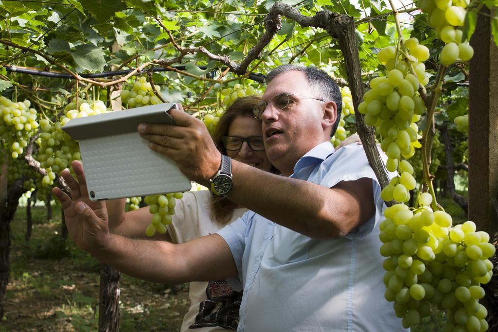 Masseria Marico 卡斯泰拉内塔 外观 照片