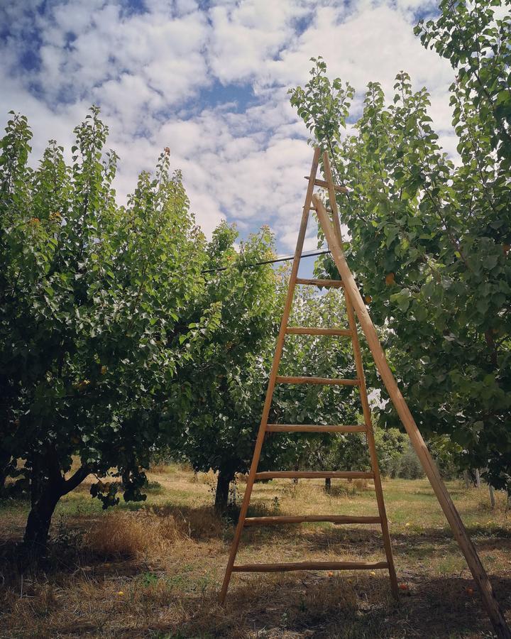 Masseria Marico 卡斯泰拉内塔 外观 照片