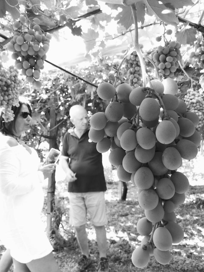 Masseria Marico 卡斯泰拉内塔 外观 照片